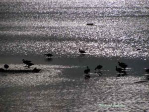 Abendlicht An der Ostsee